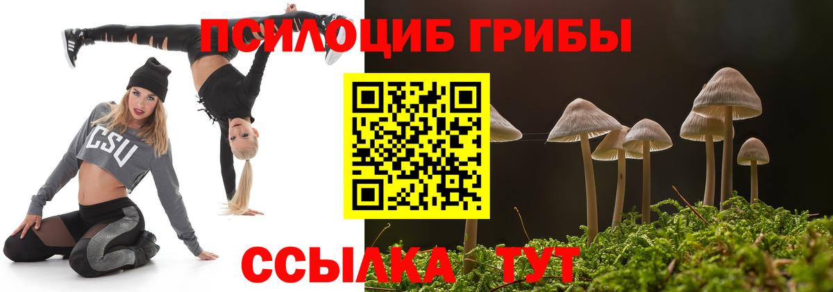 Кумертау  Галлюциногенные грибы Cubensis  Вход с VPN  Галлюциногенные грибы MAGIC MUSHROOMS 